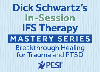 Schwartz IFS 350 X 250