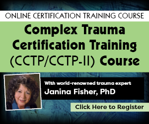 001292 Janina Fisher CCTP I et II FR 300 X 250