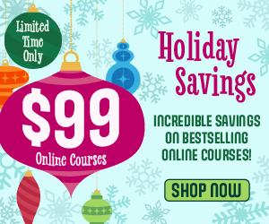 Ensemble de soldes des Fêtes de décembre 2025 1 300X250